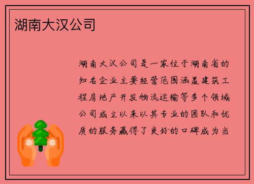 湖南大汉公司